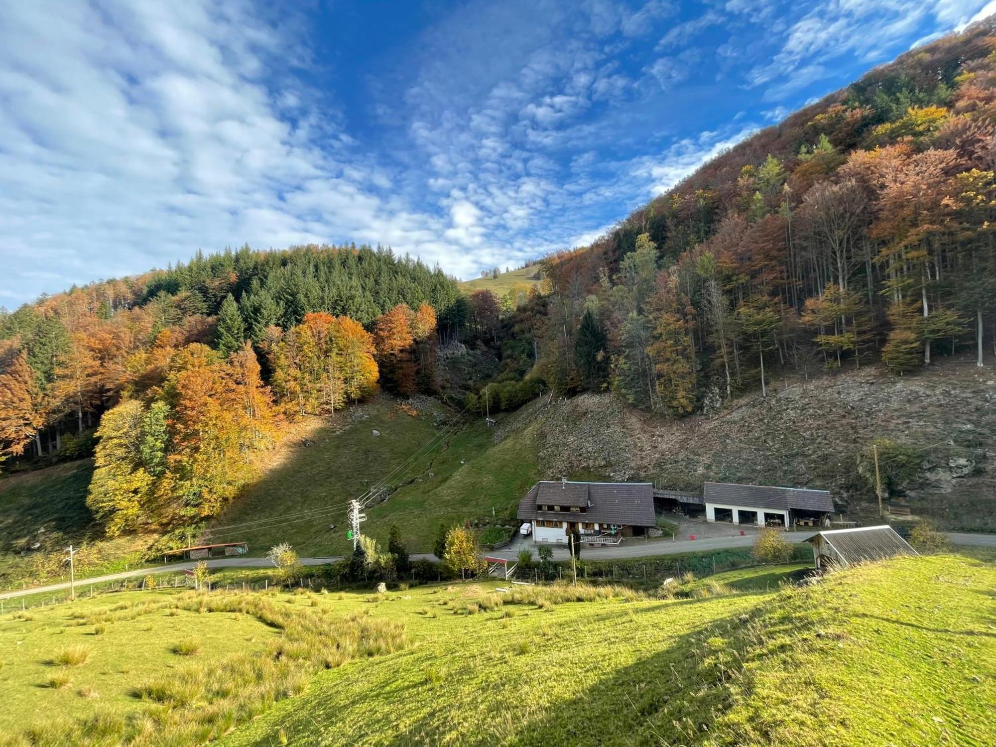 Bauernhaus Im Мюнстерталь Екстер'єр фото